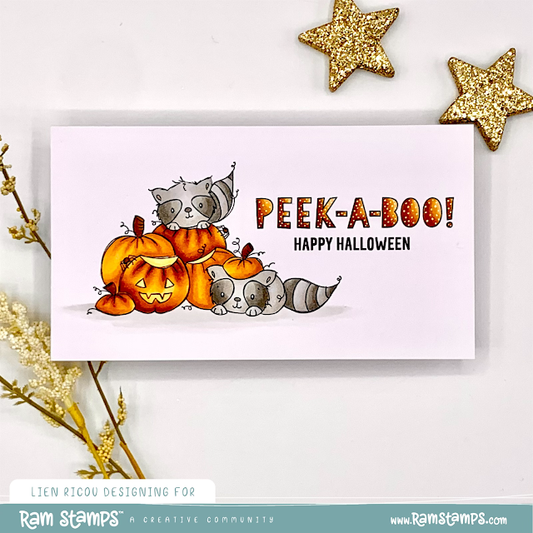 Peekaboo Raccoons by Lien
