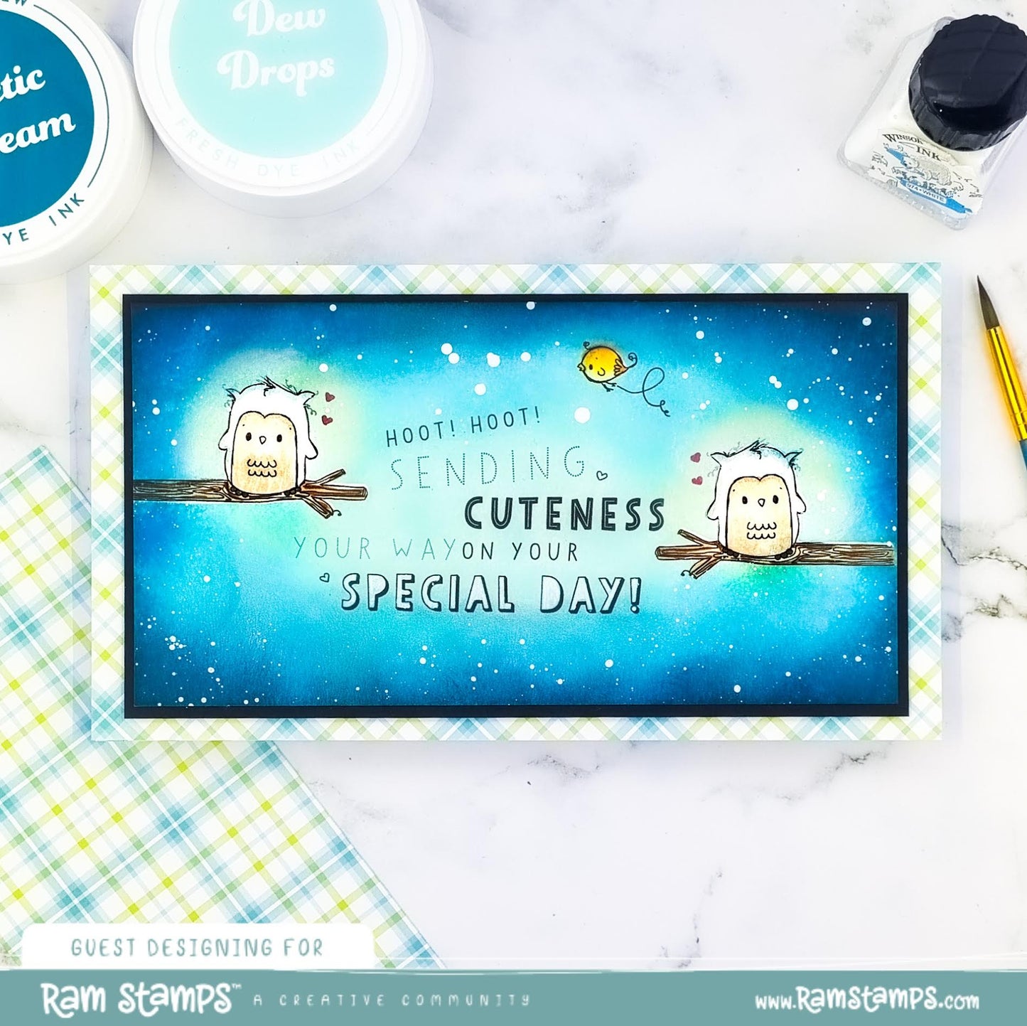 'Special Day Owl' Mini Scene Creator Digital Stamp