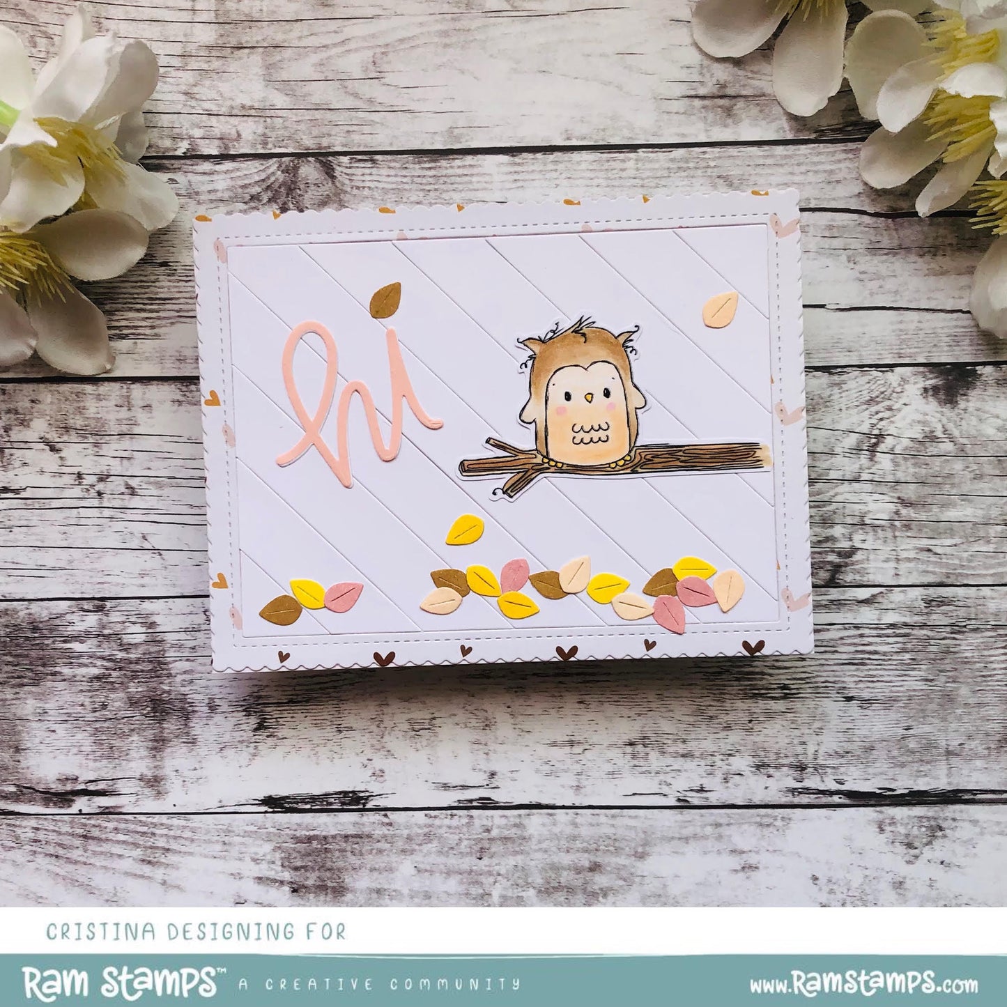 'Special Day Owl' Mini Scene Creator Digital Stamp