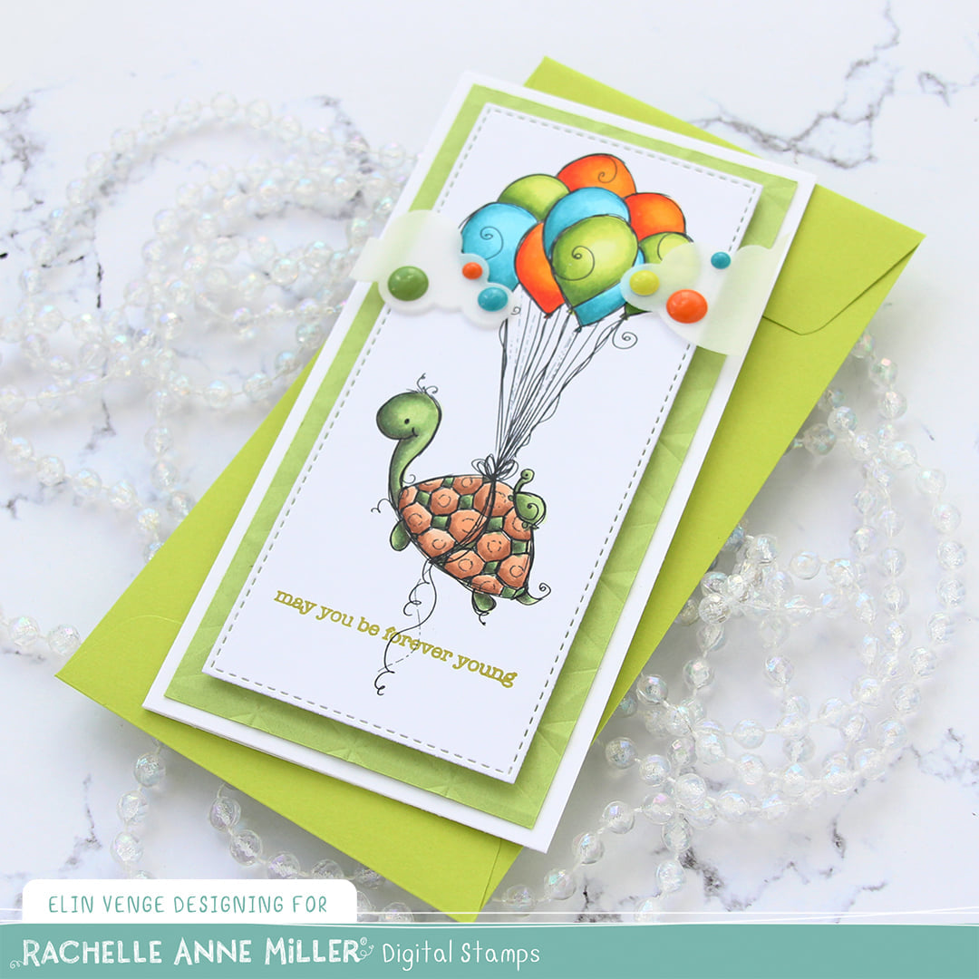 'Birthday Turtle' Digital Stamp