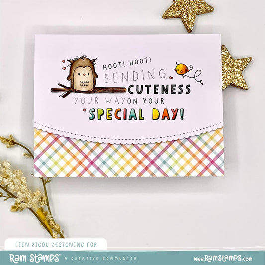 Special Day Owl by Lien